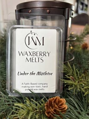 Hand Crafted "Under the Mistletoe" Scented Wax Melts
